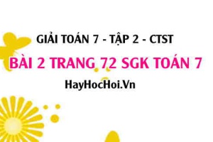 Giải bài 2 trang 72 Toán 7 tập 2 SGK Chân trời sáng tạo